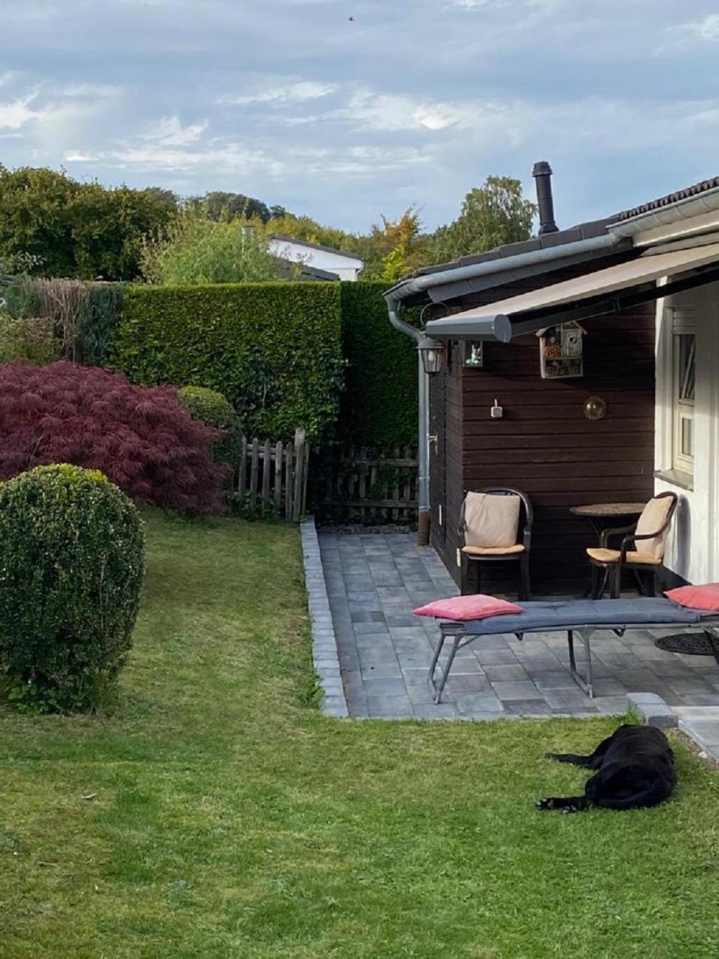 Ferienhaus Glueckspilz Beim Hennesee Meschede Buitenkant foto