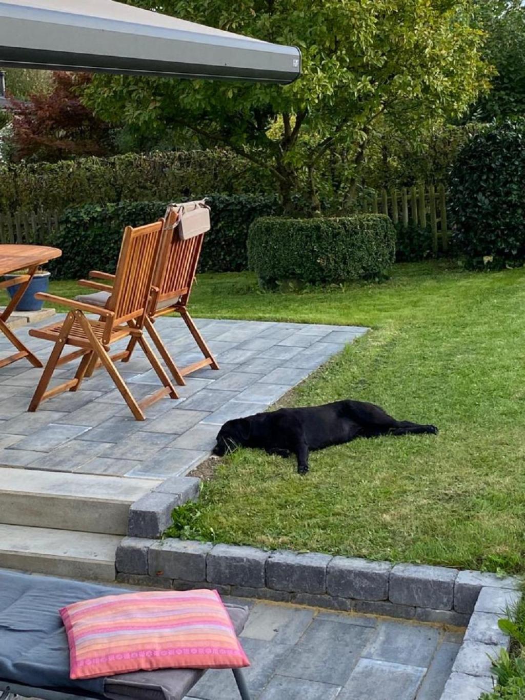 Ferienhaus Glueckspilz Beim Hennesee Meschede Buitenkant foto